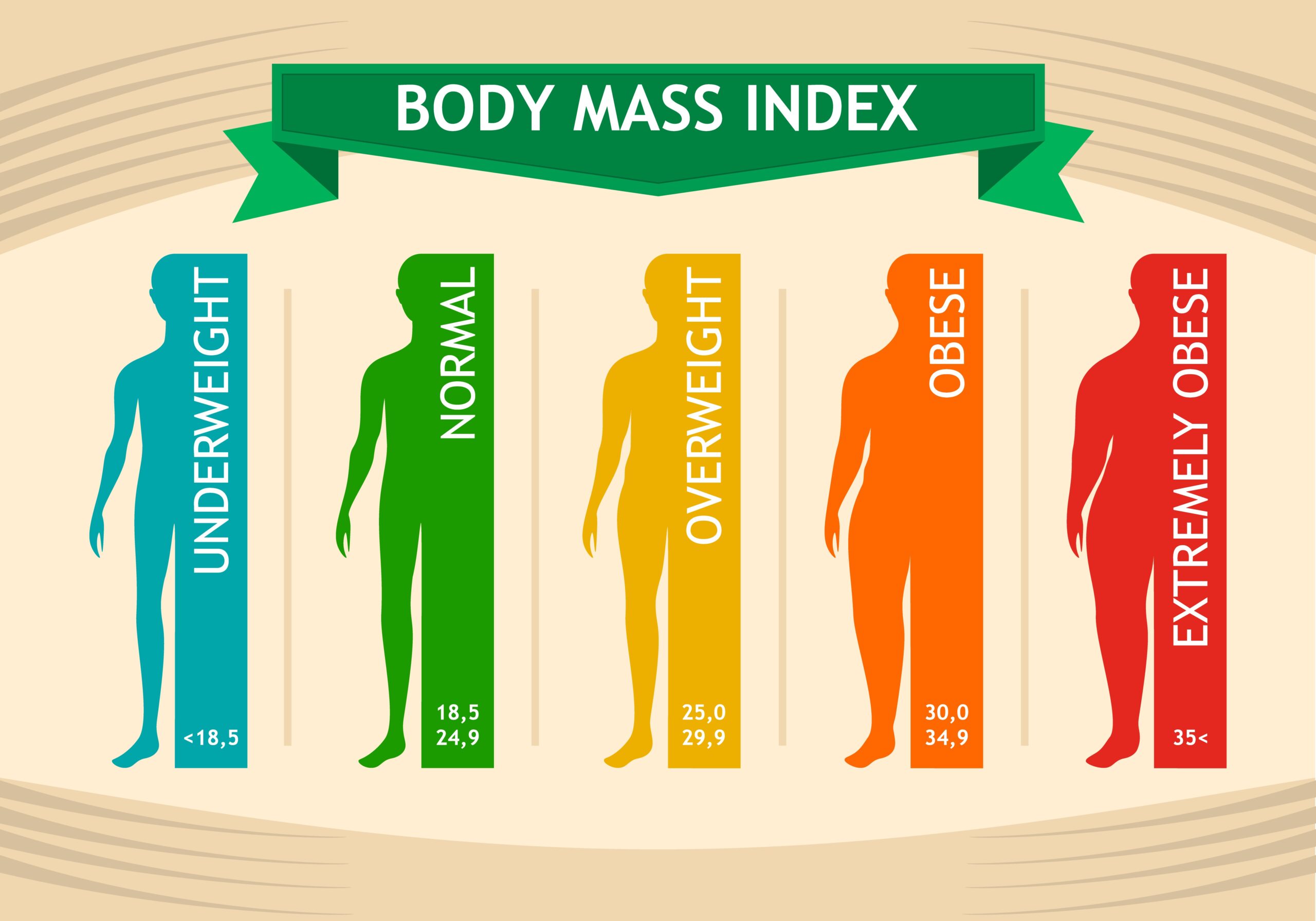 BMI Calculator Range